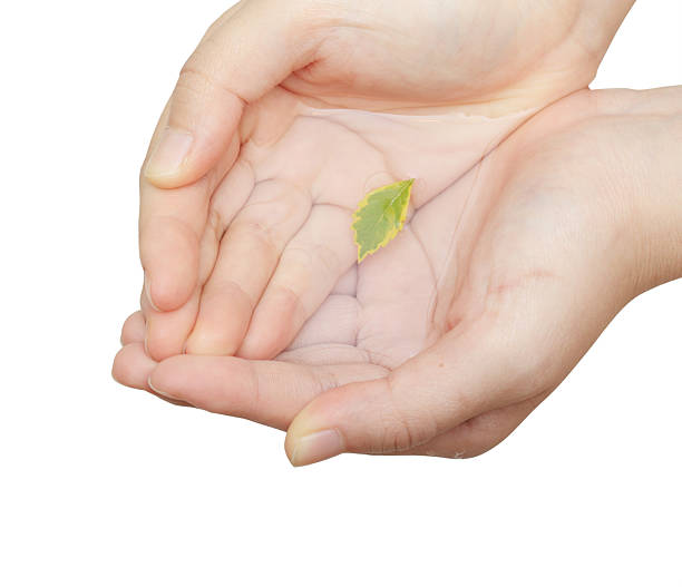 istock isolated hand golding leaf and water 182469427