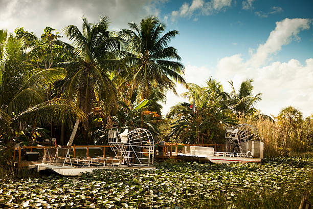 Swamp boat floats into the Everglades National Park Florida USA