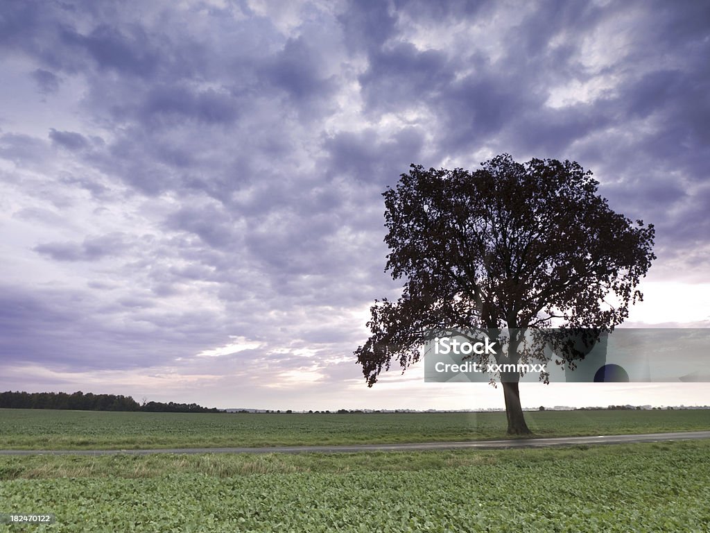 Sonnenaufgang auf die Landschaft - Lizenzfrei Baum Stock-Foto