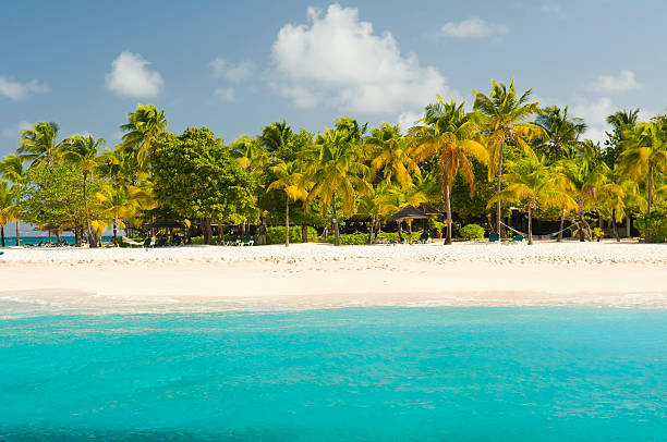 istock Palm Island Paradise 182470392