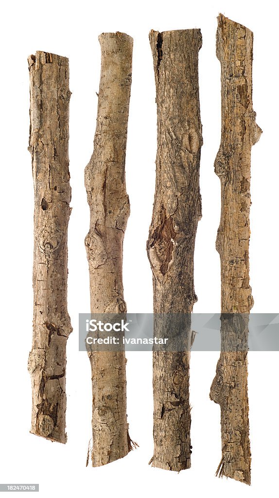 Twigs et bâtons isolé sur blanc - Photo de Branche - Partie d'une plante libre de droits
