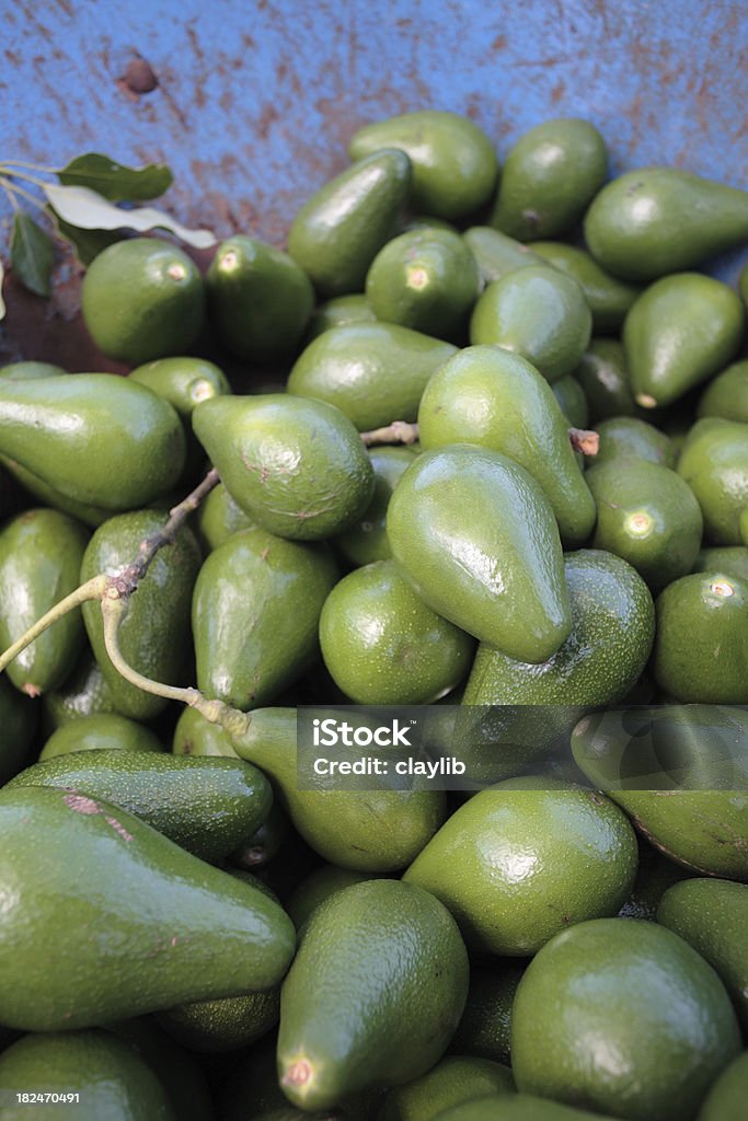 Avocado - Lizenzfrei Avocado Stock-Foto
