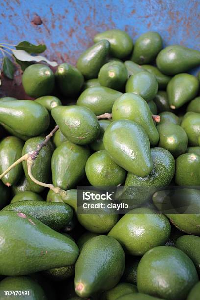 Avocado Stockfoto und mehr Bilder von Avocado - Avocado, Avocadosorte Hass, Farbbild