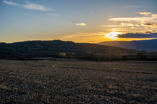 Idyllic countryside landscape with vineyards under a moody sky at sunset,  Goriska Brda,  Slovenia