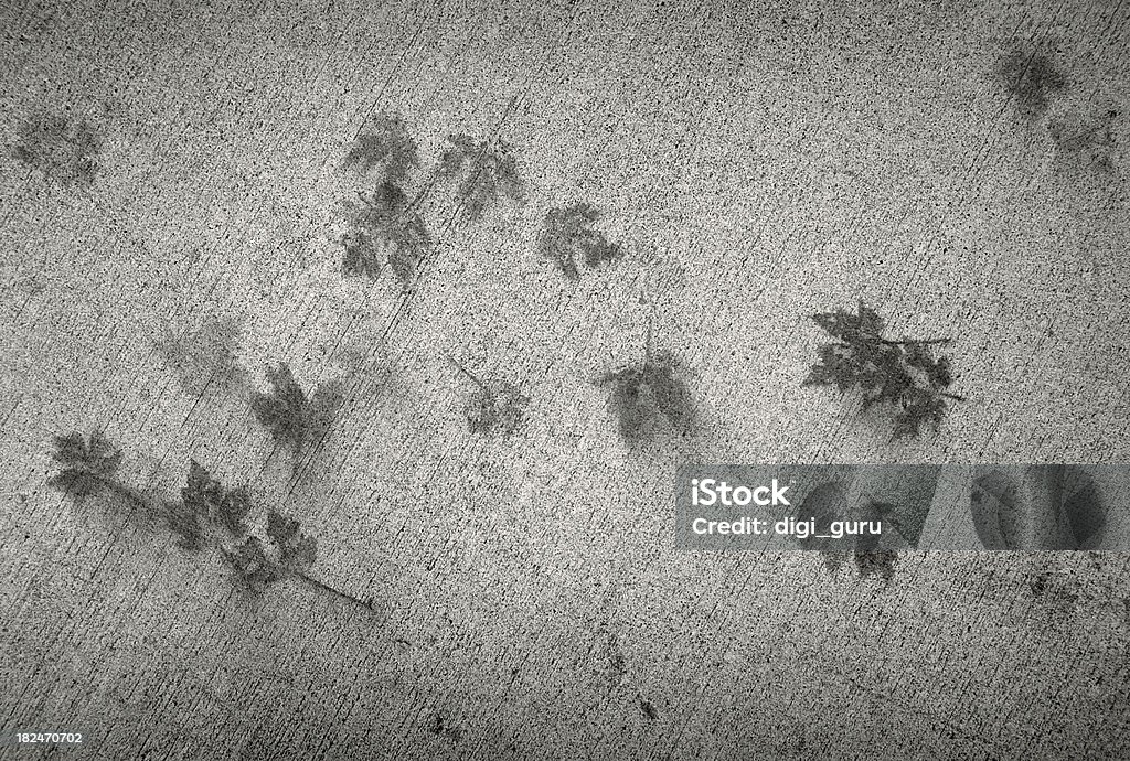 Fallen Leaves imprimé sur le trottoir - Photo de Abstrait libre de droits