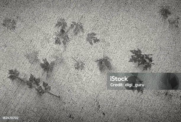 Photo libre de droit de Fallen Leaves Imprimé Sur Le Trottoir banque d'images et plus d'images libres de droit de Abstrait - Abstrait, Automne, Canada