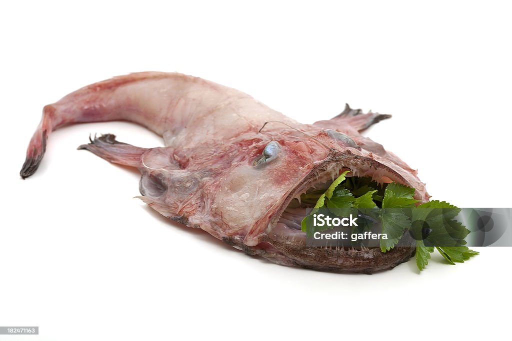 angler peixe cru - Foto de stock de Animal royalty-free