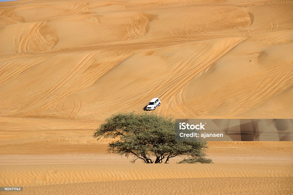 safari en jeep dans le désert - Photo de Conduire libre de droits