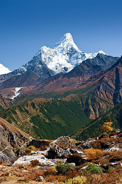 panorama del himalaya amadablam de montaje - amadablam fotografías e imágenes de stock