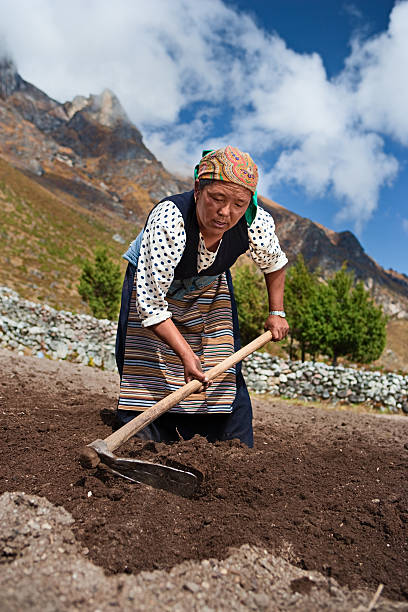 istock Nepali woman working in the field 182471991