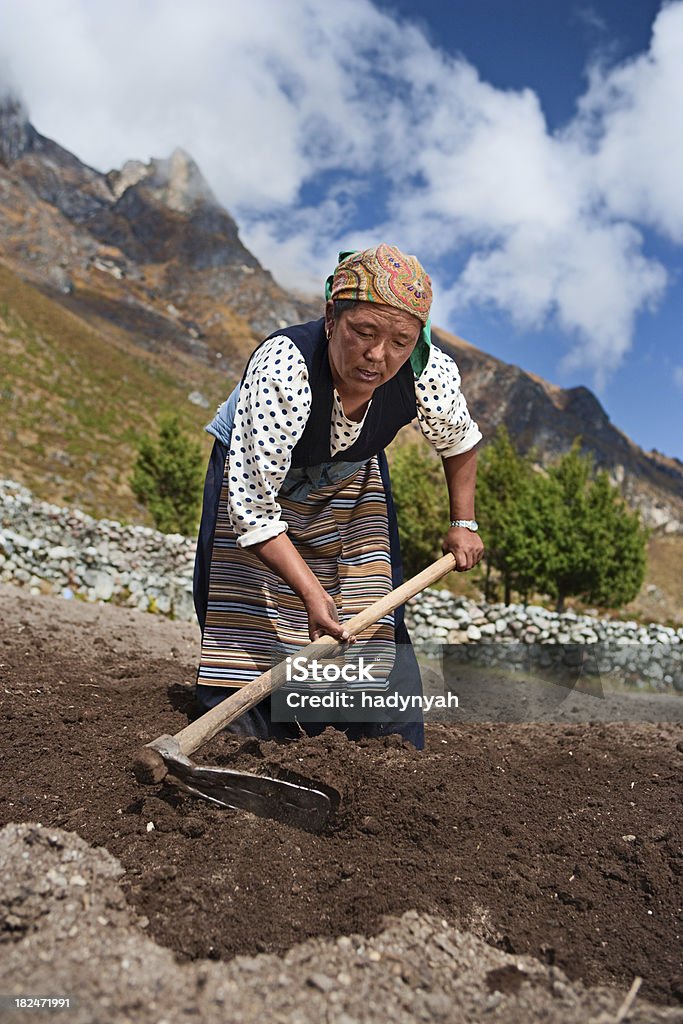 Nepali женщина, работающие в полевых условиях - Стоковые фото Аборигенная культура роялти-фри