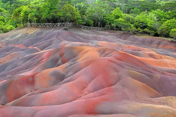 "The aseven-coloured earthaA of Chamarel is a geological curiosity and a major tourist attraction of Mauritius. The landscape at Chamarel is truly unique, it is the only place in world where you can find a clay earth of 7 colors at one place. Geologists are still intrigued by the rolling dunes of multi-coloured lunar-like landscape. The colours, red, brown, violet, green, blue, purple and yellow never erode in spite of torrential downpours and adverse climatic conditions. This phenomenon has never been explained but it is believed the earths are composed of mineral rich volcanic ash."