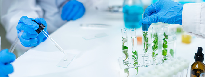 Stage showcase cosmetics on glass pedestal modern in laboratory equipment. Laboratory glass equipment with blue water ingredients on white background. Research and development cosmetics concept