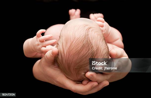 Newborn Held In Mothers Hands Stock Photo - Download Image Now - Close-up, Newborn, Baby - Human Age