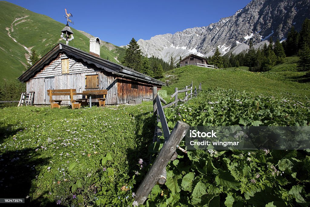 Tyrolien alp meadows - Photo de Activité de loisirs libre de droits