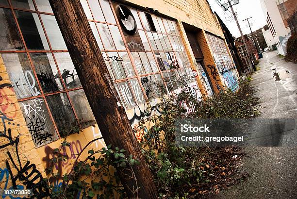 Mirando Hacia Abajo Un Callejón Con Graffiti Foto de stock y más banco de imágenes de Almacén - Almacén, Antihigiénico, Arbusto