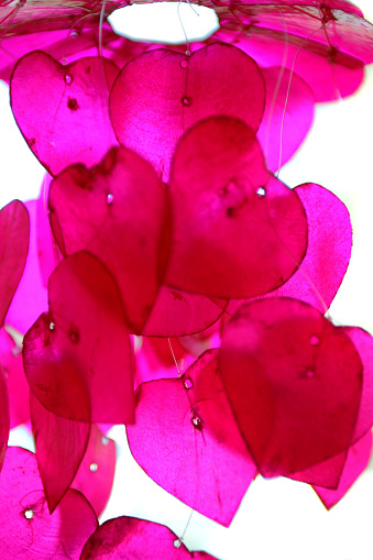 Pink shells heart shapes wind chimes