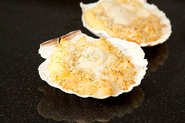 scallops with cheese sauce gratin in shell "Coquilles St Jacques, scallops in cheese sauce gratin in clam shells on a reflective black granite worktop" seafood gratin stock pictures, royalty-free photos & images