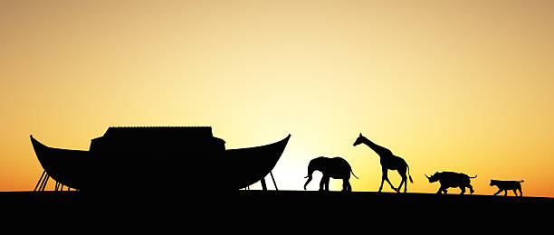 Silhouette of Noah's Ark with animals at sunset Noah's Ark silhouette with animals walking towards it. Includes an elephant, giraffe,rhino and tiger. noahs ark stock pictures, royalty-free photos & images