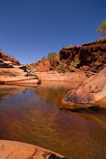 hamersley gorge - spinnifex - fotografias e filmes do acervo