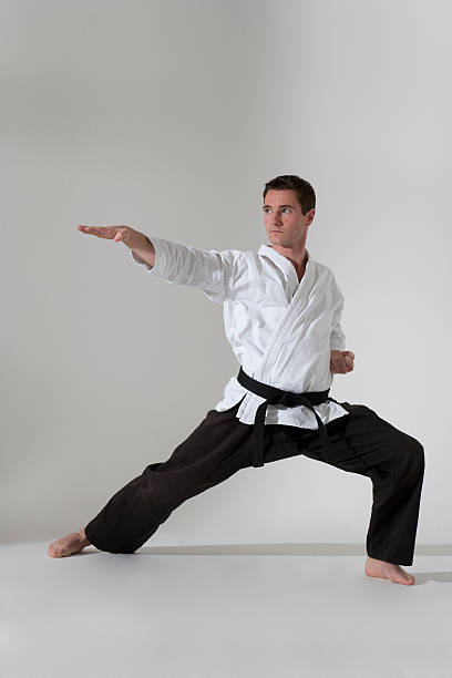 istock Young man martial artist 182474606