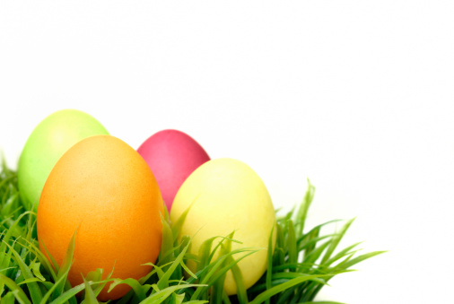 easter eggs on grass and white background.Easter