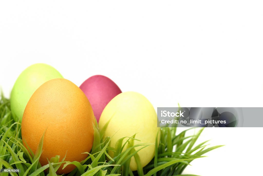 Easter eggs easter eggs on grass and white background.Easter Easter Egg Stock Photo