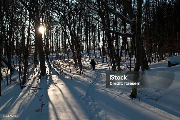 Snow Pfad Stockfoto und mehr Bilder von Baum - Baum, Europa - Kontinent, Fotografie