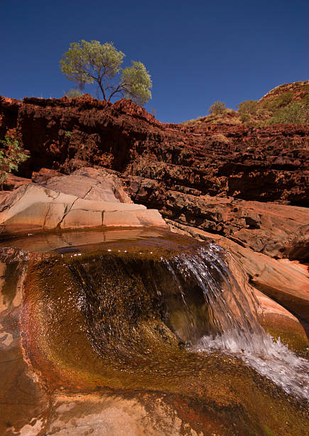 hamersley gorge - spinnifex - fotografias e filmes do acervo