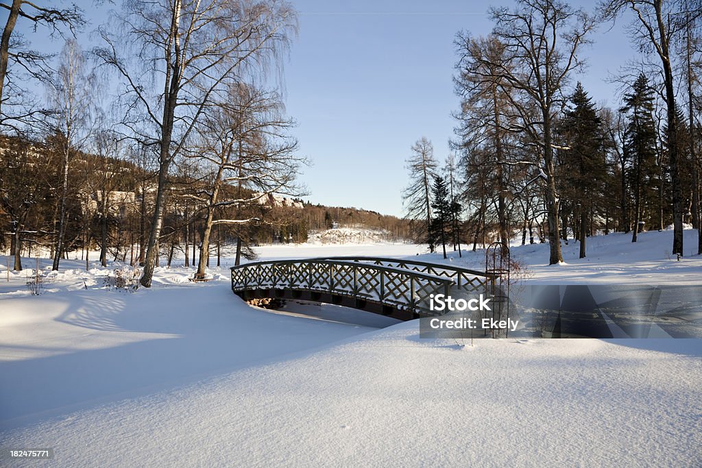 Bela NevadasComment Parque no inverno com Enfeitado Ponte de madeira. - Royalty-free Ajardinado Foto de stock