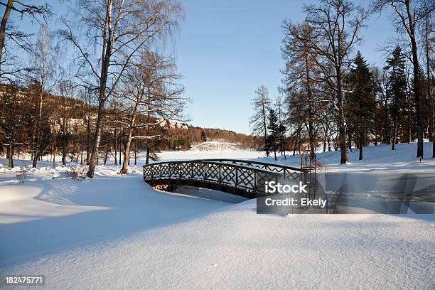 Красивые Снежные Парке В Зимний С Затейливыми Деревянный Мост — стоковые фотографии и другие картинки Без людей