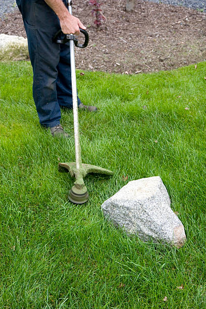 istock Landscaper Mows Trims Grass Wearing Safety Equipment 182475803