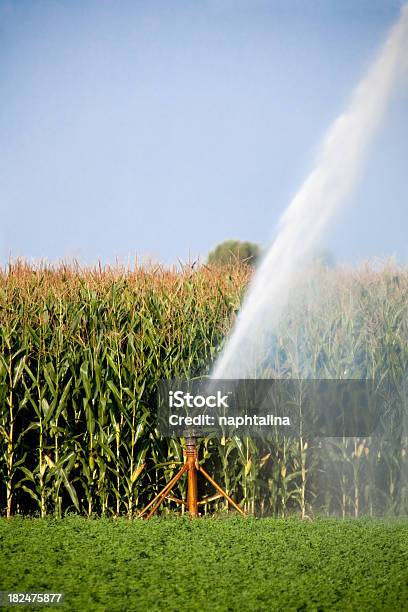 Bewässerung Es Stehen U A Folgende Geräte Füttern Das Feld Stockfoto und mehr Bilder von Bewässerungsanlage