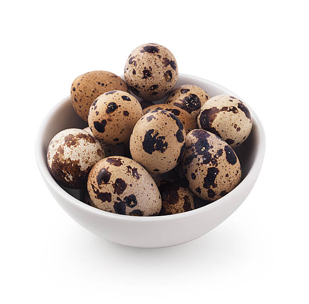 Quail Eggs "Quail eggs in a small white bowl, shot on white with a shadow." quail egg stock pictures, royalty-free photos & images