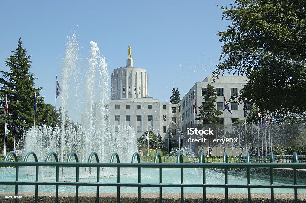 Capitol i Fountain - Zbiór zdjęć royalty-free (Gubernator)