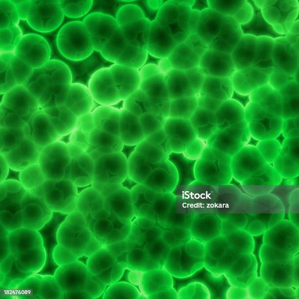 バクテリア - インフルエンザ菌のストックフォトや画像を多数ご用意 - インフルエンザ菌, 細胞, 風邪