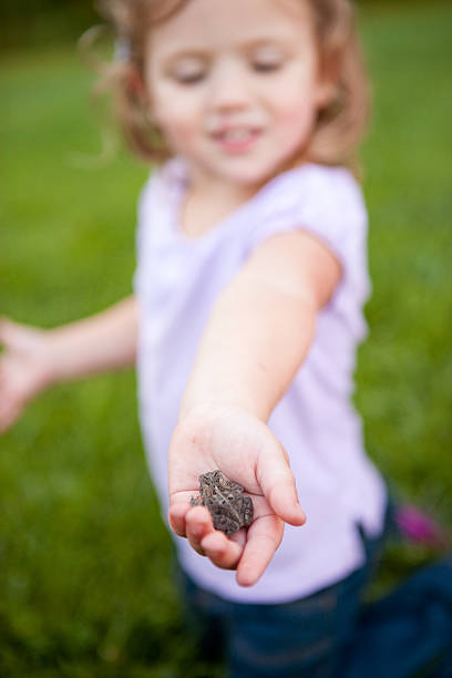 istock Little Girl Holding a Toad in Her Hand 182476423