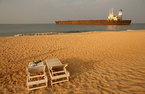 비치 칸돌림 - colva beach 뉴스 사진 이미지