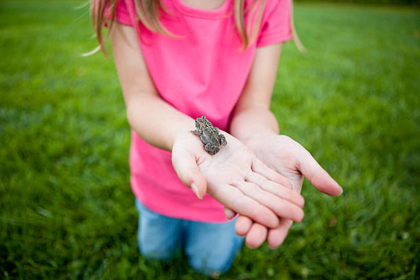 istock Little Girl Holding a Toad in Her Hand 182477132