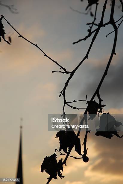 Силуэт Листья В Зимний — стоковые фотографии и другие картинки Дерево - Дерево, Одиночество, Без людей