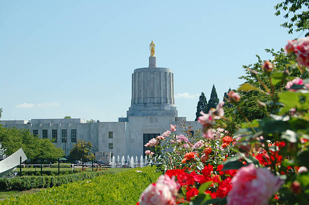 Rosen und Capitol – Foto