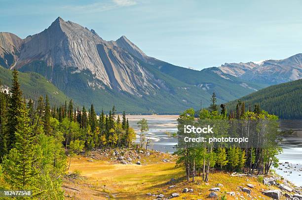 Foto de Remédios Lago e mais fotos de stock de Alberta - Alberta, Amarelo, Beleza natural - Natureza