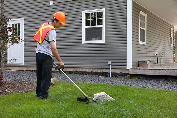 istock Landscaper Mows Trims Grass Wearing Safety Equipment 182477911