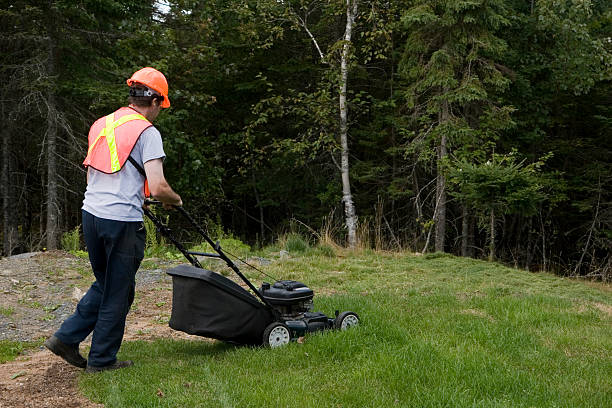 istock Man Mows Grass Wearing Safety Equipment 182477924