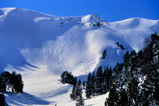 istock skiers' tracks in powder snow 1824780498