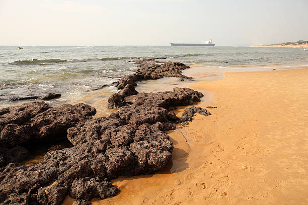 비치 칸돌림 - colva beach 뉴스 사진 이미지