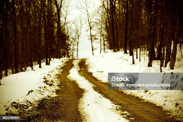 Foto de Neve Derretendo Da Série De Paisagens Naturais e mais fotos de stock de Branco - Branco, Cena Não-urbana, Cena Rural