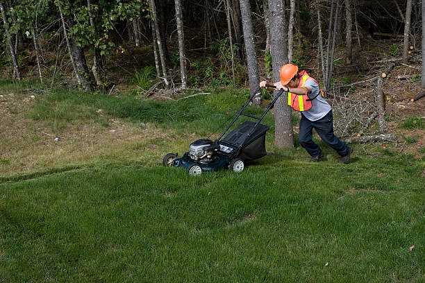 istock Man Mows Grass Wearing Safety Equipment 182478773