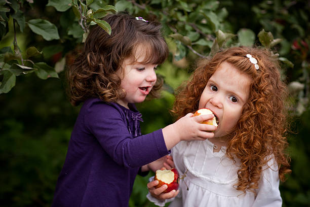 dziewczynka karmienie jej siostra jabłko z drzewa w orchard - apple eating little girls green zdjęcia i obrazy z banku zdjęć