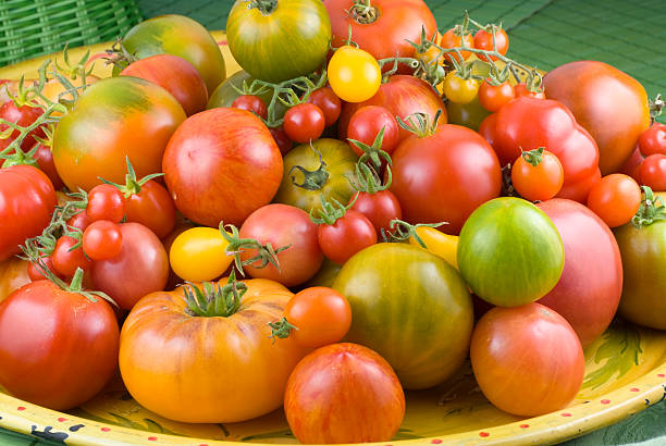 エアルームトマト、新鮮な野菜、ヘルシーなオーガニックな農産物 - heirloom tomato homegrown produce tomato organic ストックフォトと画像